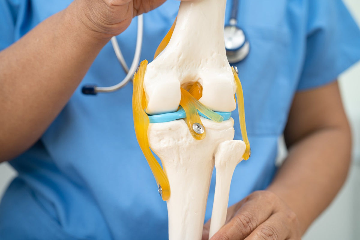 Fracción Vascular Estromal (FVE+™): Innovación en Medicina Regenerativa